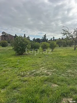 Satılır torpaq sahəsi — Bakı, Novxanı
