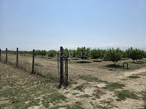 Satılır torpaq sahəsi — Xaçmaz