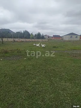 Satılır torpaq sahəsi — Quba