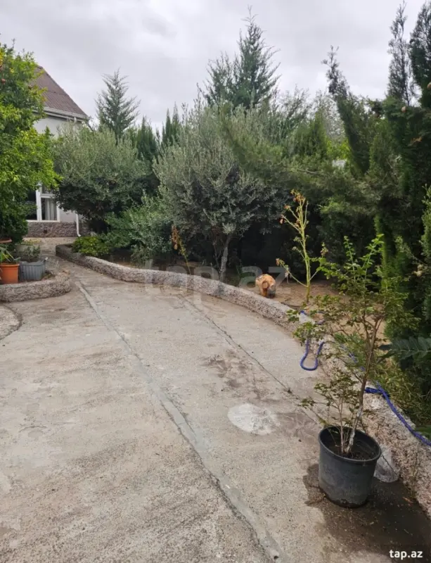 Kirayə verilir 2 otaqlı həyət evi 80 m²