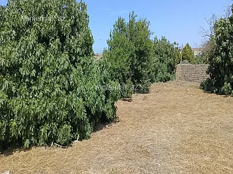 Satılır torpaq sahəsi — Abşeron, Digah