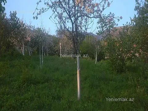 Satılır torpaq sahəsi — İsmayıllı