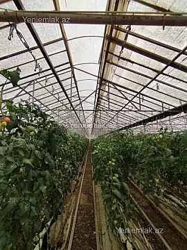 Satılır 10 otaqlı obyekt 220000 m² — Bakı, Xəzər 10 otaq 220000.00 m²