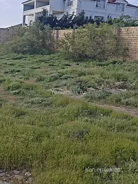 Satılır torpaq sahəsi — Abşeron, Saray