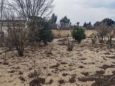 Satılır torpaq sahəsi — Abşeron, Novxanı