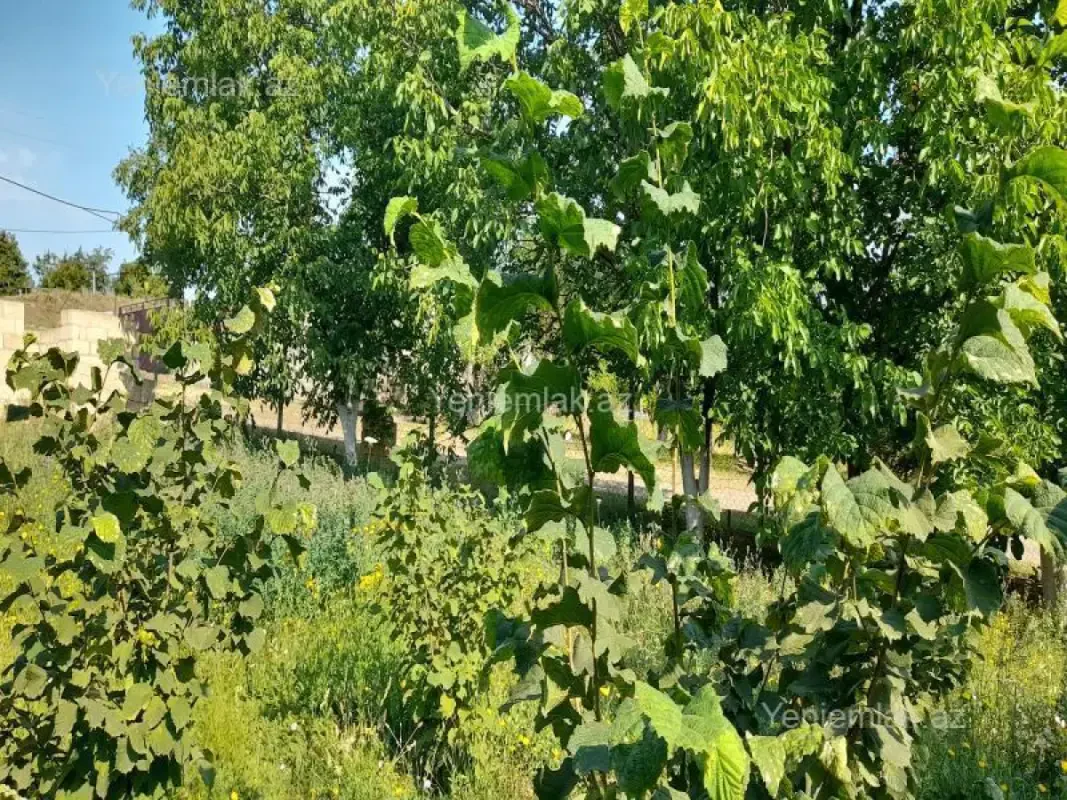Satılır 7 otaqlı torpaq sahəsi 190 m²