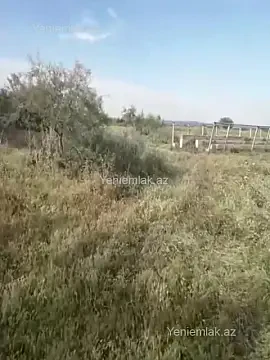 Satılır torpaq sahəsi — Sabirabad