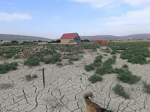 Satılır torpaq sahəsi — Abşeron