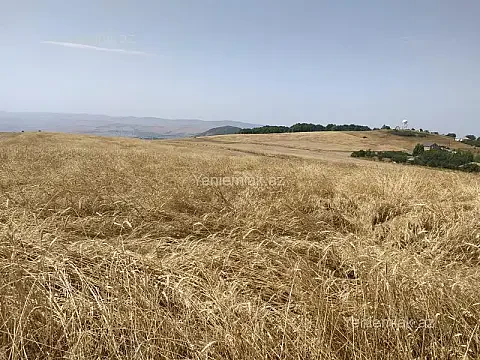 Satılır torpaq sahəsi — Şamaxı