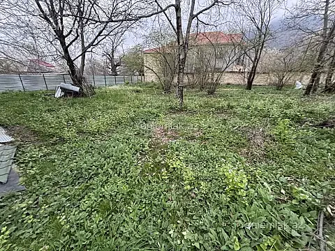 Satılır torpaq sahəsi — Qəbələ