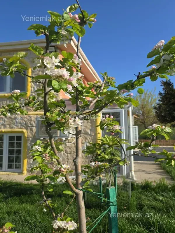 Satılır 7 otaqlı həyət evi 253 m²
