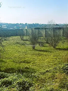 Satılır torpaq sahəsi — Abşeron, Novxanı