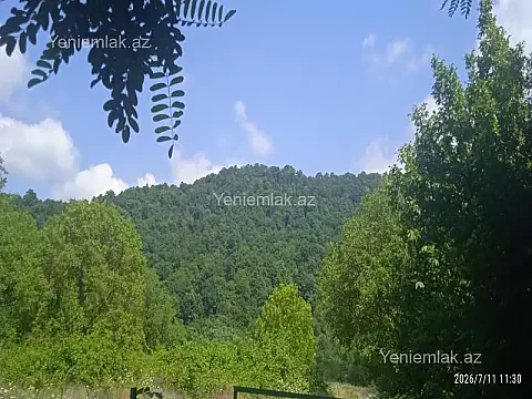 Satılır torpaq sahəsi — Qəbələ