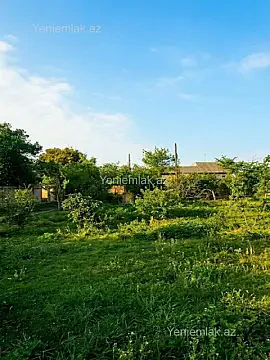 Satılır torpaq sahəsi — Abşeron, Novxanı
