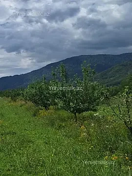 Satılır torpaq sahəsi — Quba