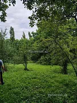 Satılır torpaq sahəsi — Quba
