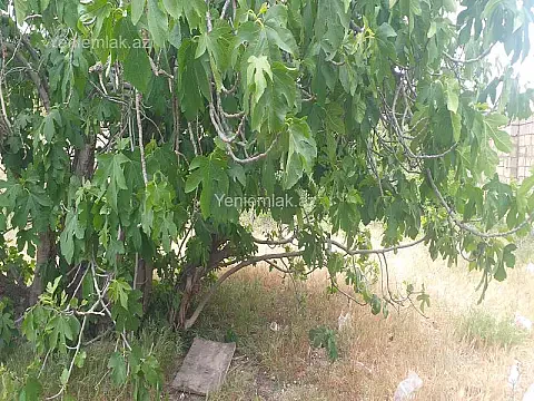 Satılır torpaq sahəsi — Sumqayıt