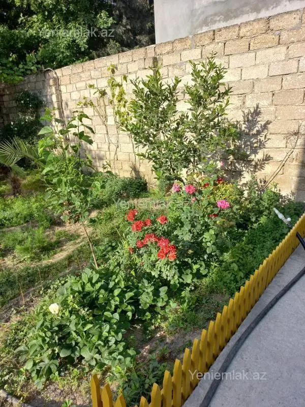 Satılır 3 otaqlı həyət evi 90 m²