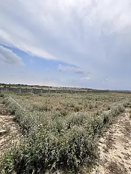 Satılır torpaq sahəsi — Abşeron