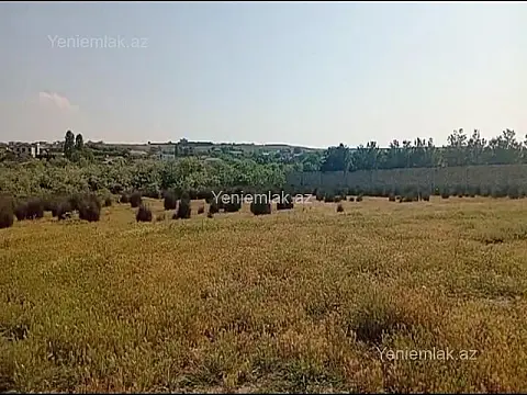 Satılır torpaq sahəsi — Abşeron