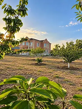 Satılır 5 otaqlı həyət evi 250 m² — Abşeron, Saray 5 otaq 250.00 m²