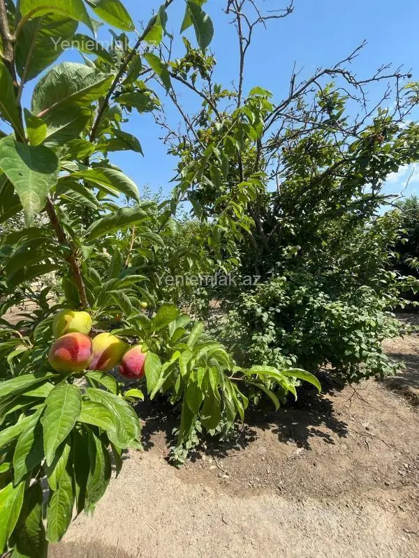 Satılır 7 otaqlı həyət evi 200 m²