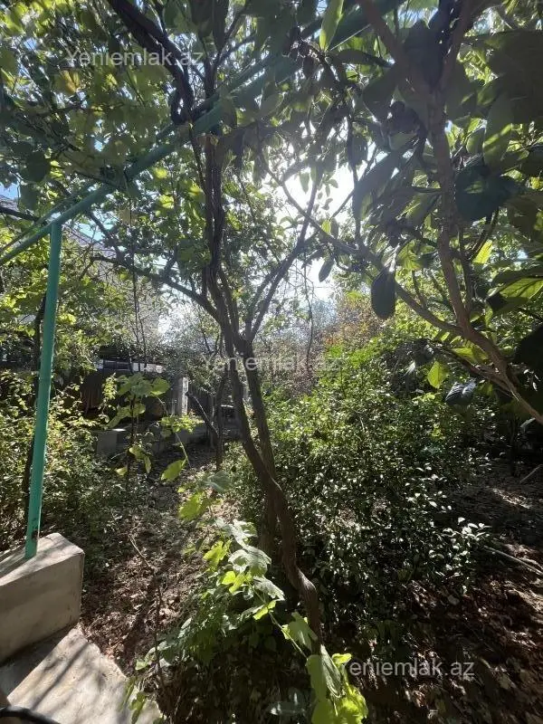 Satılır 3 otaqlı həyət evi 85 m²