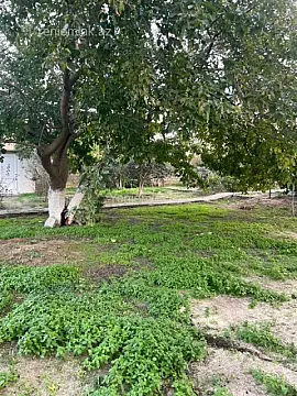 Satılır torpaq sahəsi — Abşeron, Novxanı