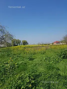 Satılır 5 otaqlı həyət evi 251 m² — Masallı 5 otaq 251.00 m²