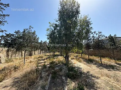 Satılır torpaq sahəsi