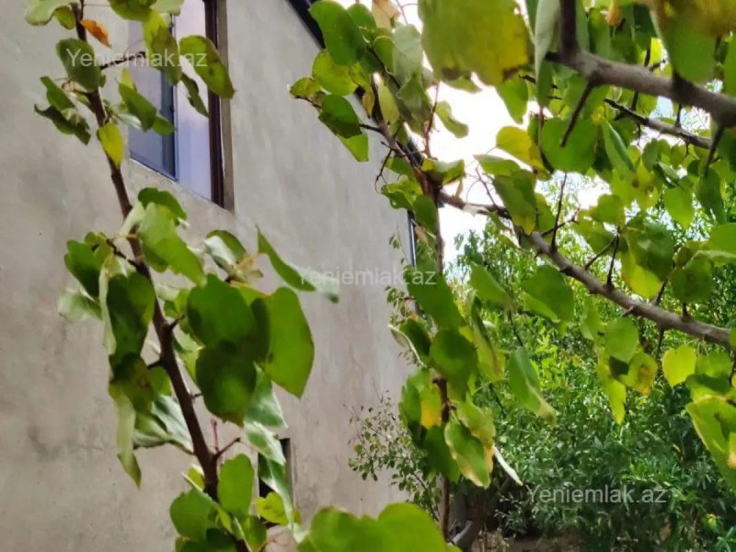 Satılır 4 otaqlı həyət evi 268 m²