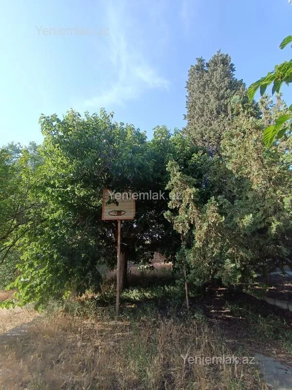 Satılır torpaq sahəsi