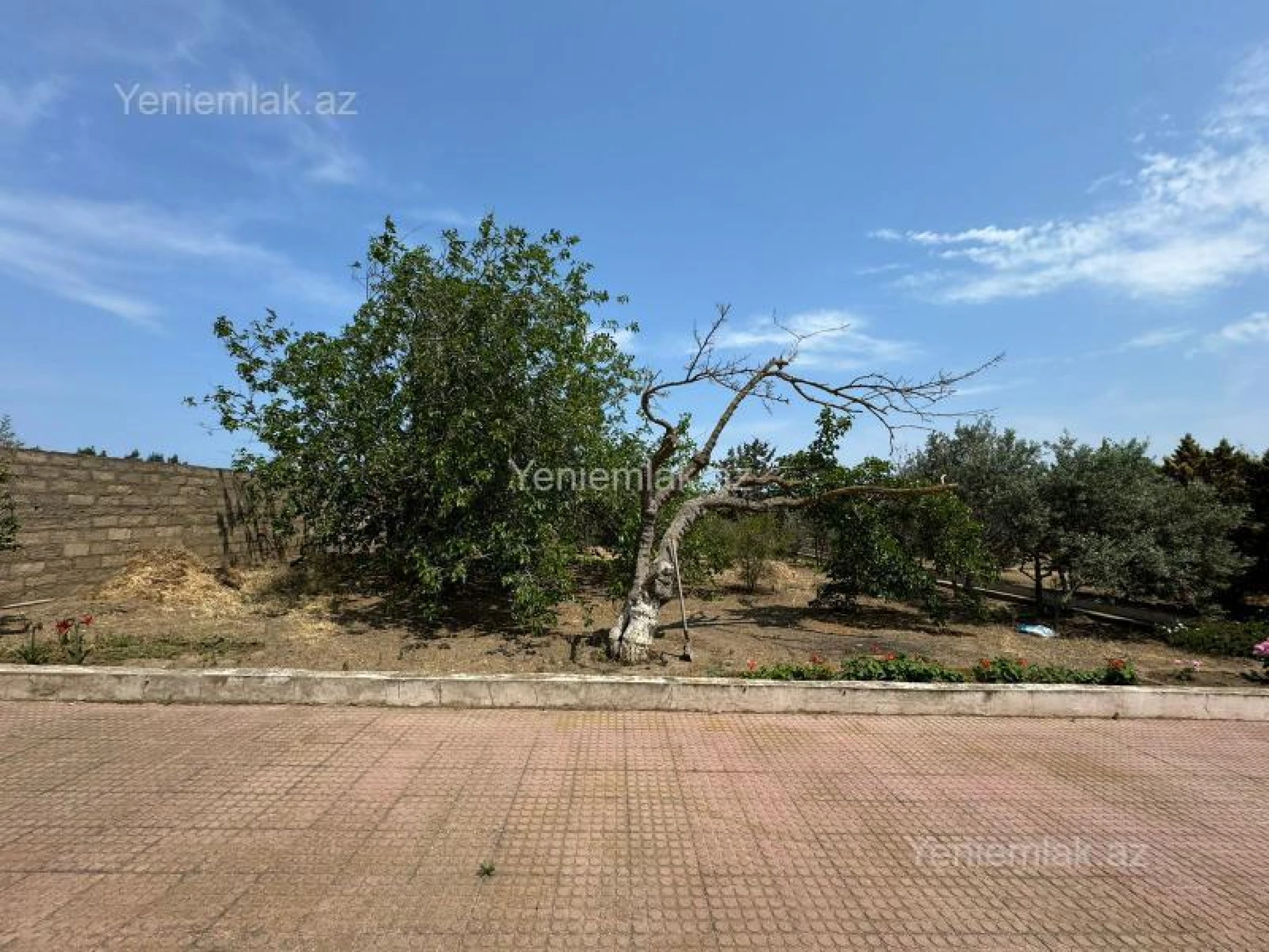 Satılır torpaq sahəsi