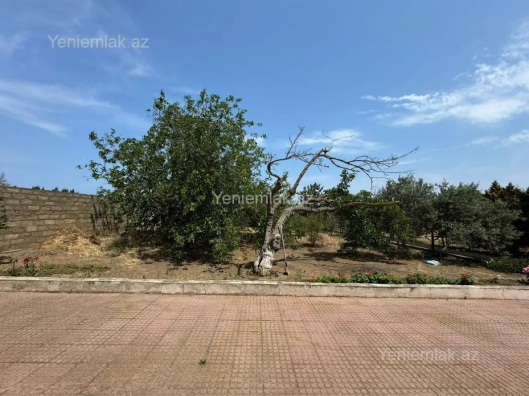 Satılır torpaq sahəsi