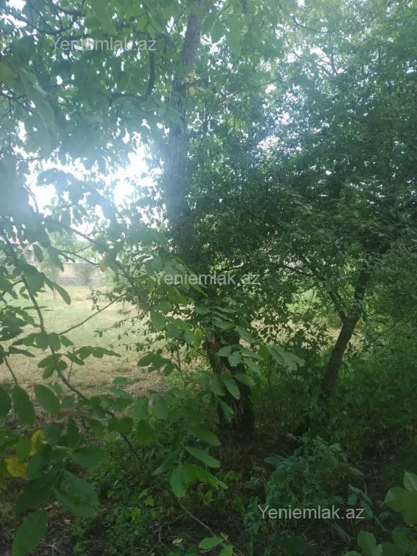 Satılır torpaq sahəsi