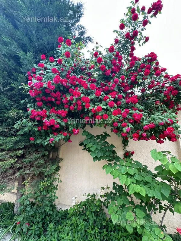 Satılır 4 otaqlı həyət evi 224 m²