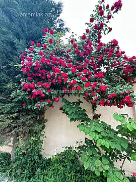 Satılır 4 otaqlı həyət evi 224 m²