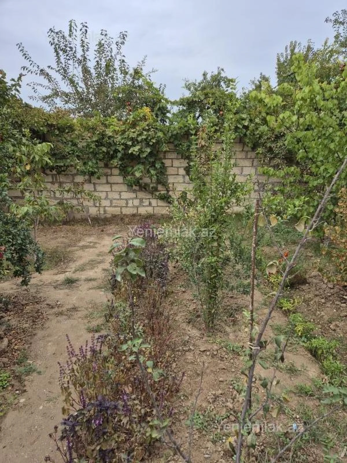Satılır 4 otaqlı həyət evi 120 m²