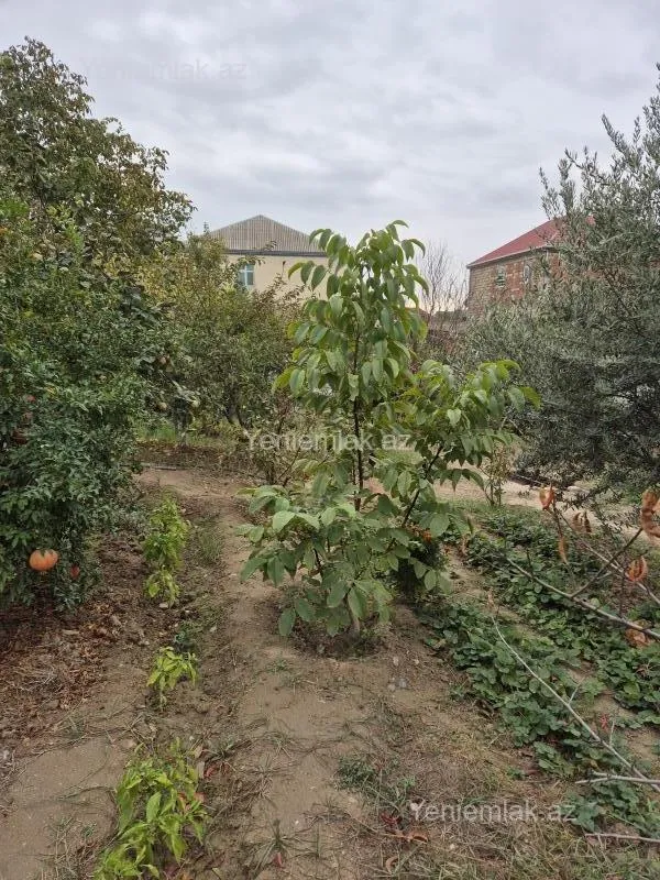 Satılır 4 otaqlı həyət evi 120 m²
