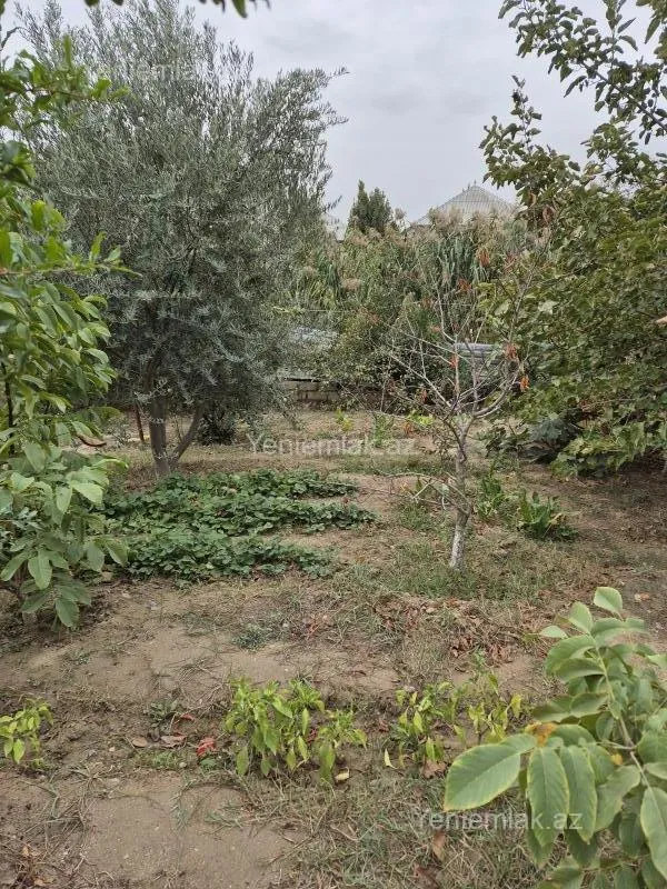 Satılır 4 otaqlı həyət evi 120 m²