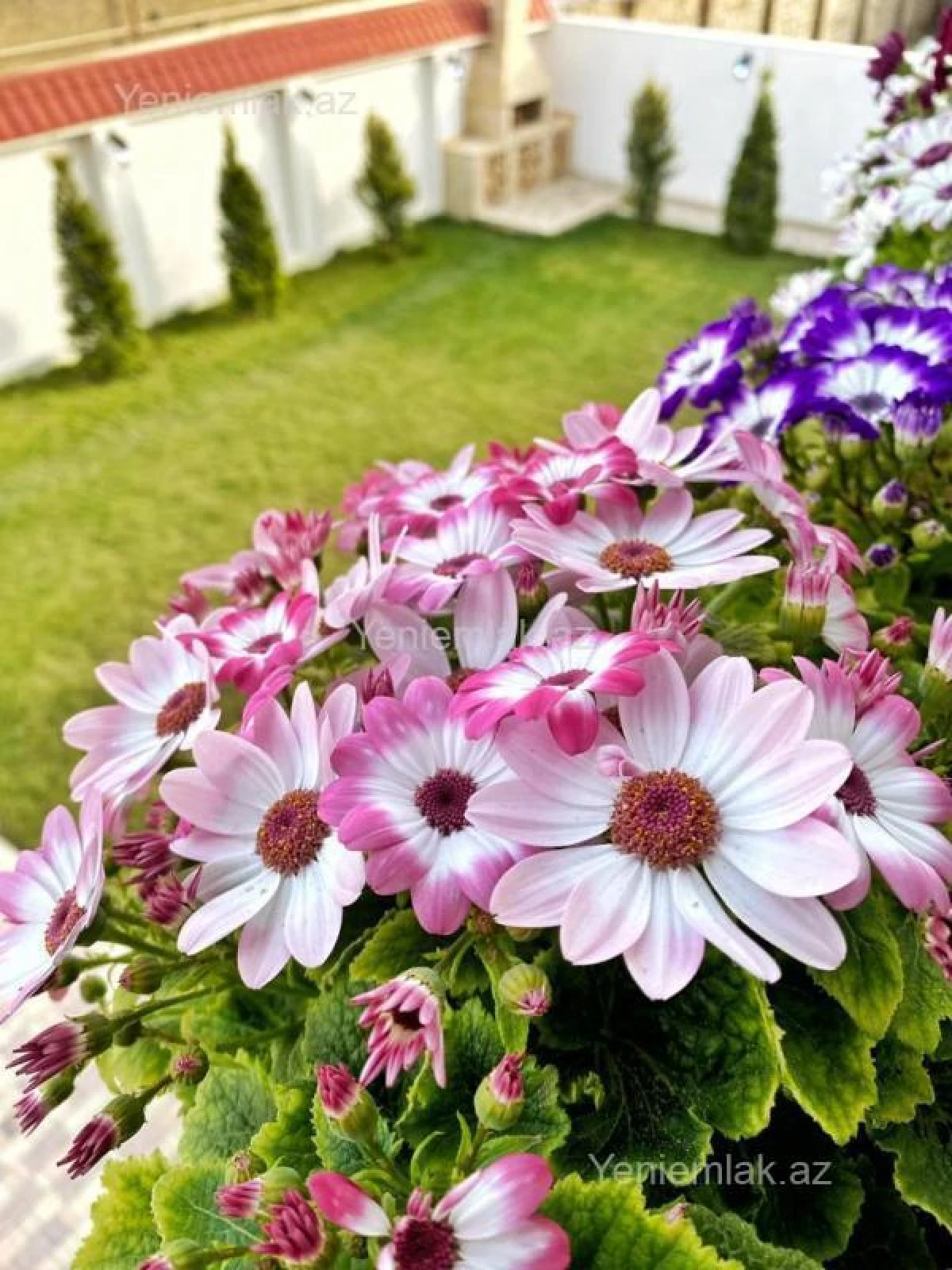 Satılır 6 otaqlı həyət evi 240 m²