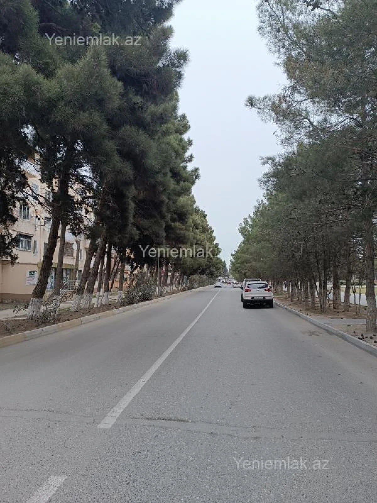 Satılır 3 otaqlı obyekt 200 m²