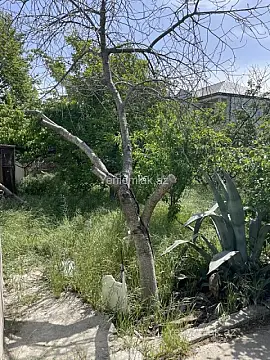 Satılır 5 otaqlı həyət evi 130 m²