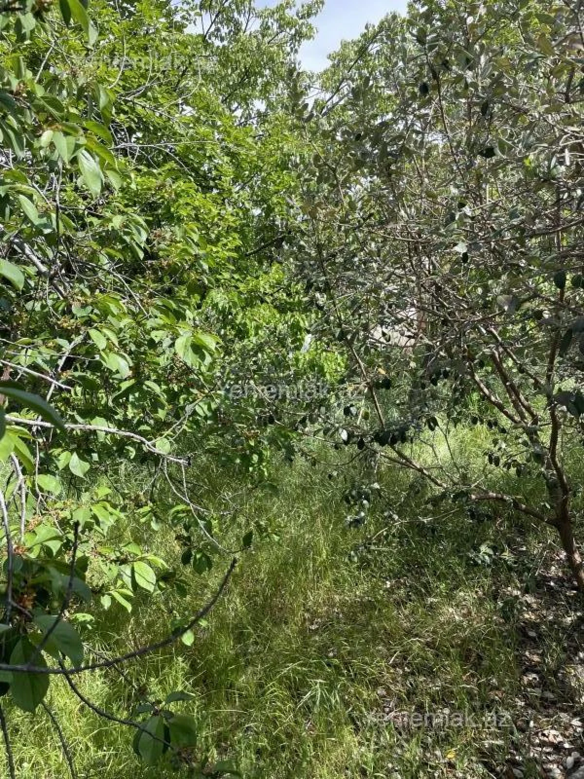 Satılır 5 otaqlı həyət evi 130 m²