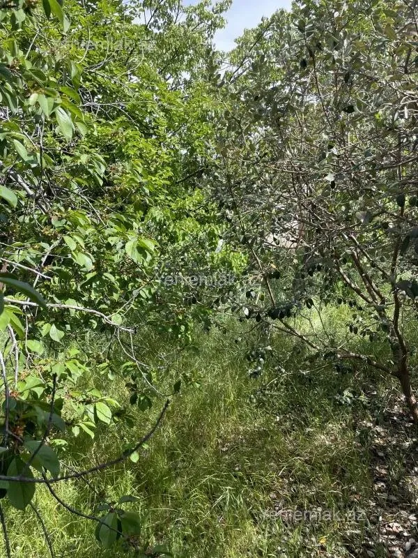 Satılır 5 otaqlı həyət evi 130 m²