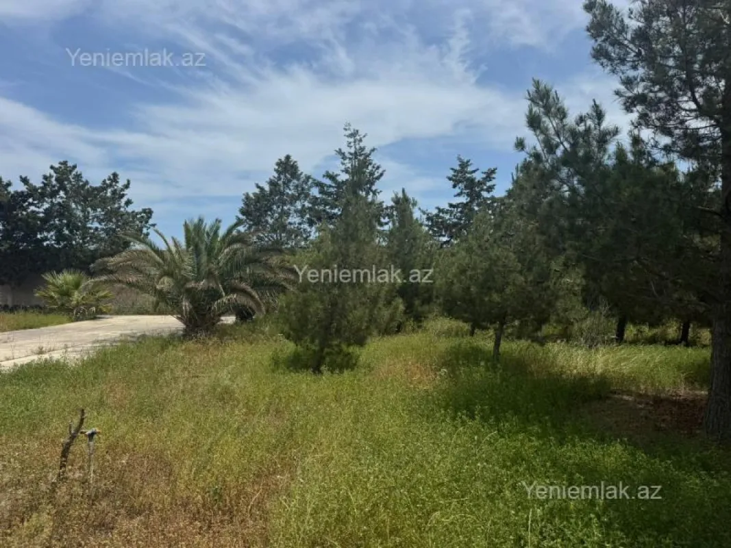 Satılır torpaq sahəsi