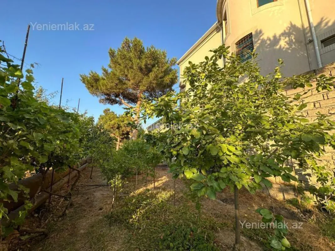 Satılır 9 otaqlı həyət evi 500 m²