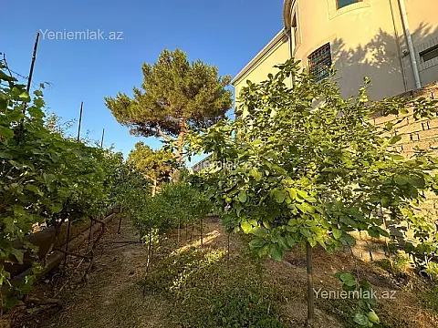 Satılır 9 otaqlı həyət evi 500 m²