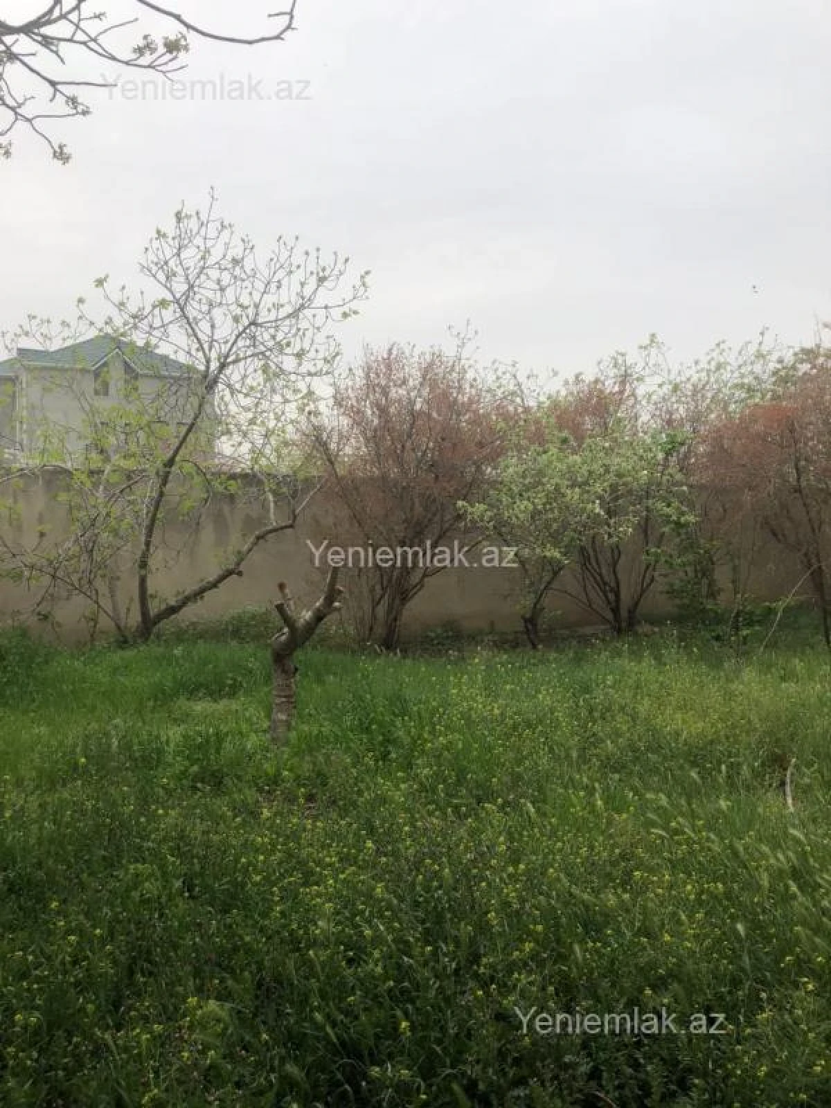 Satılır 5 otaqlı həyət evi 225 m²