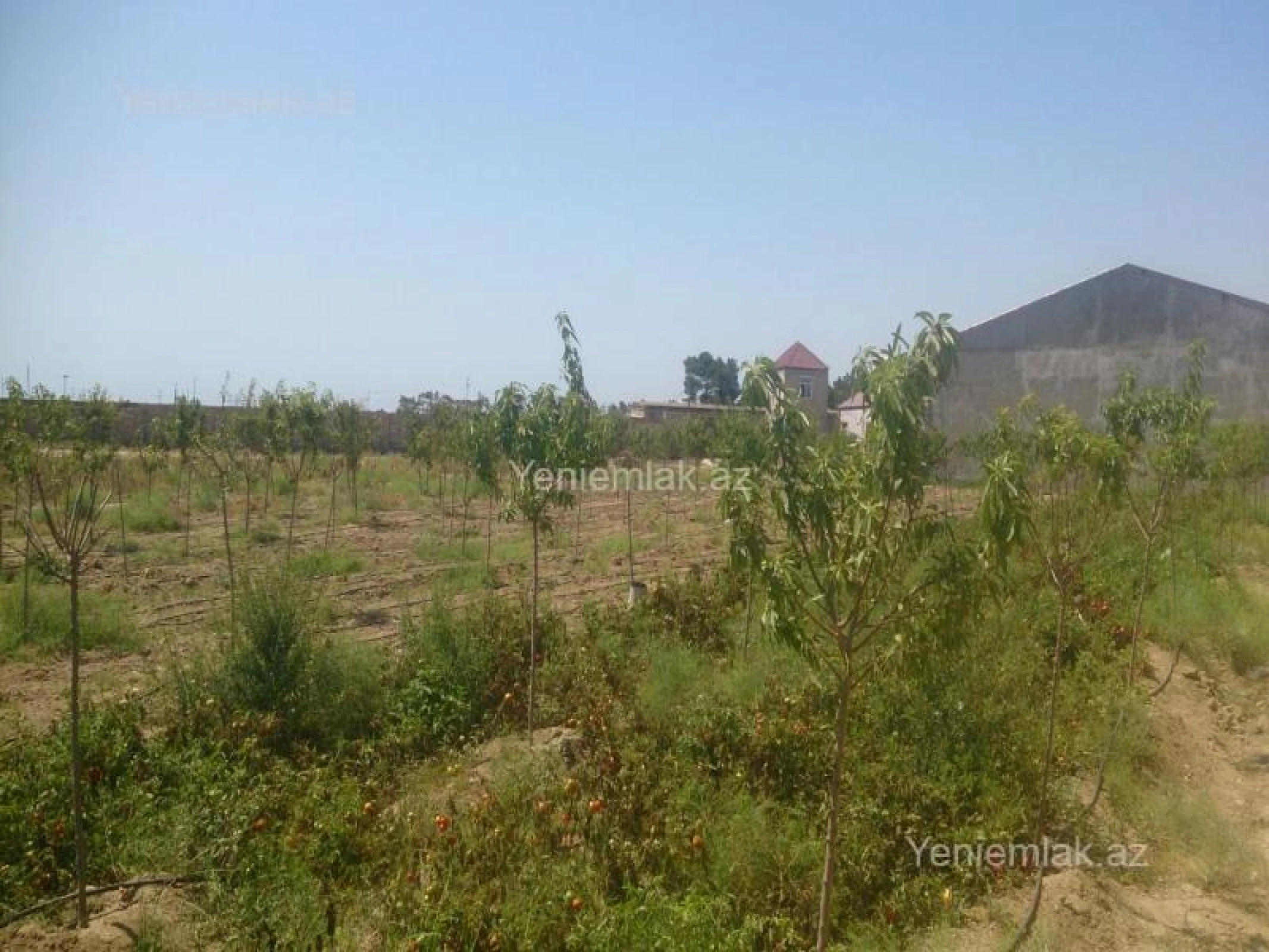 Satılır torpaq sahəsi